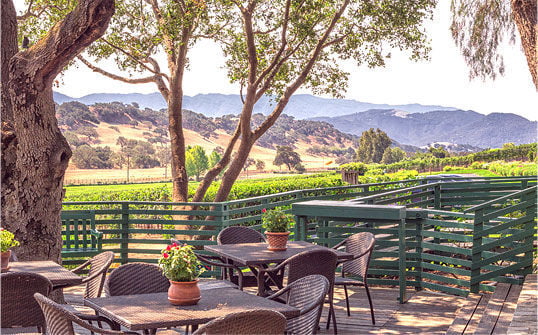 Rusack Vineyards